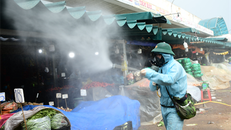 Lực lượng Phòng hóa Quân khu 7 cơ động khử khuẩn tại chợ đầu mối nông sản Hóc Môn (TP.HCM)
