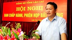 Vi phạm quy định về khai khoáng, Giám đốc Lilama bị khởi tố bắt giam 