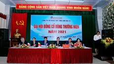 Việt Tiên Sơn Địa ốc (AAV) bán 30 triệu cổ phiếu sau khi cổ đông bị 'thay máu'