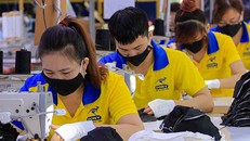 Nghiên cứu kiến nghị của TPHCM xin áp dụng quy định riêng để mở cửa kinh tế