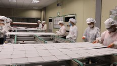 Mỗi tháng có 10.000 doanh nghiệp rút lui khỏi thị trường