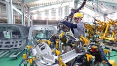 Ảnh hưởng dịch COVID-19, tỷ lệ lao động thất nghiệp tăng cao 