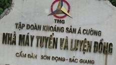 Khoáng sản Á Cường: Kinh doanh thua lỗ, cổ đông lớn bị phạt vì giao dịch không báo cáo