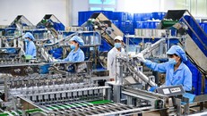 85,71% doanh nghiệp bị ảnh hưởng bởi dịch COVID-19