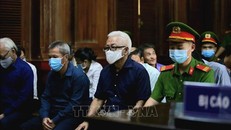 Các bị cáo tại phiên tòa ngày 27/11/2020. 