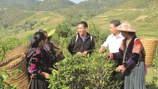 Lập Ban chỉ đạo TW các chương trình mục tiêu quốc gia giai đoạn 2021-2025