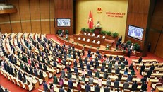 Các đại biểu Quốc hội thực hiện nghi lễ chào cờ tại phiên bế mạc Kỳ họp thứ 2, Quốc hội khóa XV. 