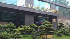 Cổ phiếu Thaiholdings của bầu Thụy mất gần 60% giá trị, cổ đông hoài nghi về tính minh bạch