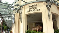 Cổ phiếu liên tục tăng trần thì phải giải trình cơ quan quản lý