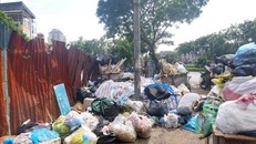 Rác phủ kín vỉa hè phố Hoàng Ngân, quận Cầu Giấy (ảnh chụp sáng 17/6). 