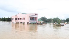 Hà Tĩnh tập trung hỗ trợ cho nhân dân vùng lũ lụt