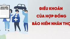 Chấn chỉnh hoạt động của các doanh nghiệp bảo hiểm nhân thọ