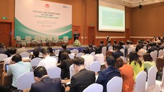 Cần bước đột phá để kinh tế xanh Việt Nam đạt mốc 300 tỷ USD vào năm 2050