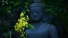 Hai nguyên tắc làm vơi đi phiền não