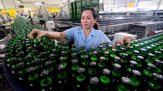 Sabeco là hãng bia Việt lớn nhất hiện nay với tổng tài sản 18.130 tỷ đồng.