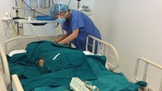 Bé Thanh Tuyền đã được ghép tế bào gốc tại Vinmec với sự hỗ trợ của Quỹ Thiện Tâm (thuộc tập đoàn Vingroup) và các nhà hảo tâm.