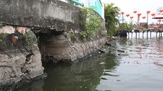 Ban quản lý hồ Tây cho hay, hiện còn khoảng 30 cống lớn, nhỏ vẫn xả thải xuống hồ Tây. Ảnh: Ngọc Thành.