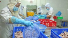 Những nút thắt gây khó cho người lao động nếu gỡ trần làm thêm 40 giờ