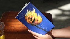 Hiện tượng văn chương gốc Việt ra sách mới