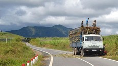 Một đoạn của đường Trường Sơn Đông. Ảnh: Tuvantruongson.vn