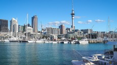 Từ 1/8 New Zealand mở cửa hoàn toàn biên giới