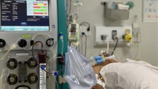 1.500 túi dịch truyền điều trị sốc sốt xuất huyết đã được nhập về kịp thời