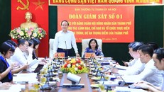 Chủ tịch HĐND thành phố Hà Nội Nguyễn Ngọc Tuấn phát biểu tại buổi làm việc.