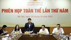 Chủ tịch Hội đồng dân tộc Y Thanh Hà Niê Kđăm phát biểu. Ảnh: TTXVN.