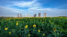 Nơi con người được thiên nhiên yêu thương