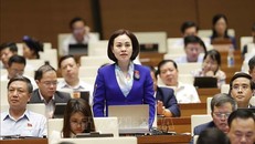 Đại biểu Quốc hội tỉnh Ninh Bình Trần Thị Hồng Thanh phát biểu ý kiến. Ảnh: TTXVN