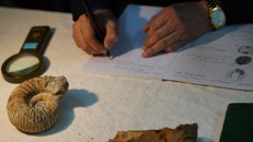 Cổ sinh vật học - ngành khoa học nghiên cứu về sự sống cổ đại