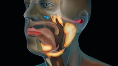 Lộ diện cơ quan mới trên mặt người