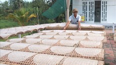 Phơi bánh tráng.