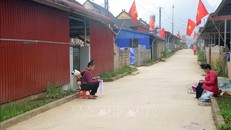 Đồng bào tái định cư ở Tân Lập hồ hởi đón Tết