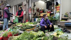 Hà Nội: Hàng hóa dồi dào, giá rau xanh 'hạ nhiệt'
