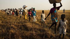 Giáo hoàng Francis kêu gọi hòa bình cho Nam Sudan