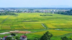 Chính phủ hoàn thiện hai nghị định quan trọng về đất đai và lấn biển