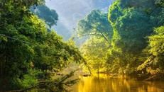 Brazil lựa chọn thành phố ven rừng Amazon là nơi đăng cai COP30