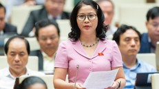 Đại biểu Nguyễn Thị Lan, Đoàn ĐBQH TP Hà Nội phát biểu tại Quốc hội.