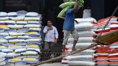 Công nhân vận chuyển gạo tại nhà kho ở Bangalore, Ấn Độ. Ảnh minh họa: AFP