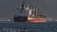 Nga, Ukraine xác định các tàu đi lại ở Biển Đen 'có thể là tàu chở hàng quân sự'