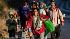 Tổ chức Di cư Quốc tế thành lập văn phòng điều phối khu vực Caribe