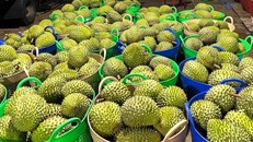 Xuất khẩu rau quả phá kỷ lục lịch sử