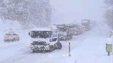 Đức: 760 chuyến bay bị hủy do tuyết rơi dày kỷ lục