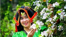 Hòa mình vào "Ngày hội hoa ban" cùng đồng bào các dân tộc