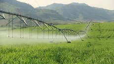 Điểm check-in "trong mơ" ở ven đường mòn Hồ Chí Minh