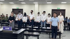 Trả hồ sơ điều tra bổ sung vụ án cựu Chủ tịch Vimedimex và đồng phạm