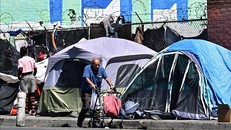 Ít nhất 22 triệu người châu Mỹ phải tha hương do nghèo đói và xung đột