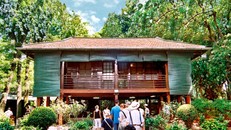 Lặng thầm làm đẹp Khu di tích Phủ Chủ tịch