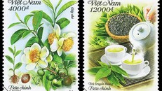 Bộ tem "Cây chè" do họa sĩ Nguyễn Du (Tổng công ty Bưu điện Việt Nam) thiết kế được phát hành trên toàn quốc hôm nay, 21-5. Ảnh: VietnamPost